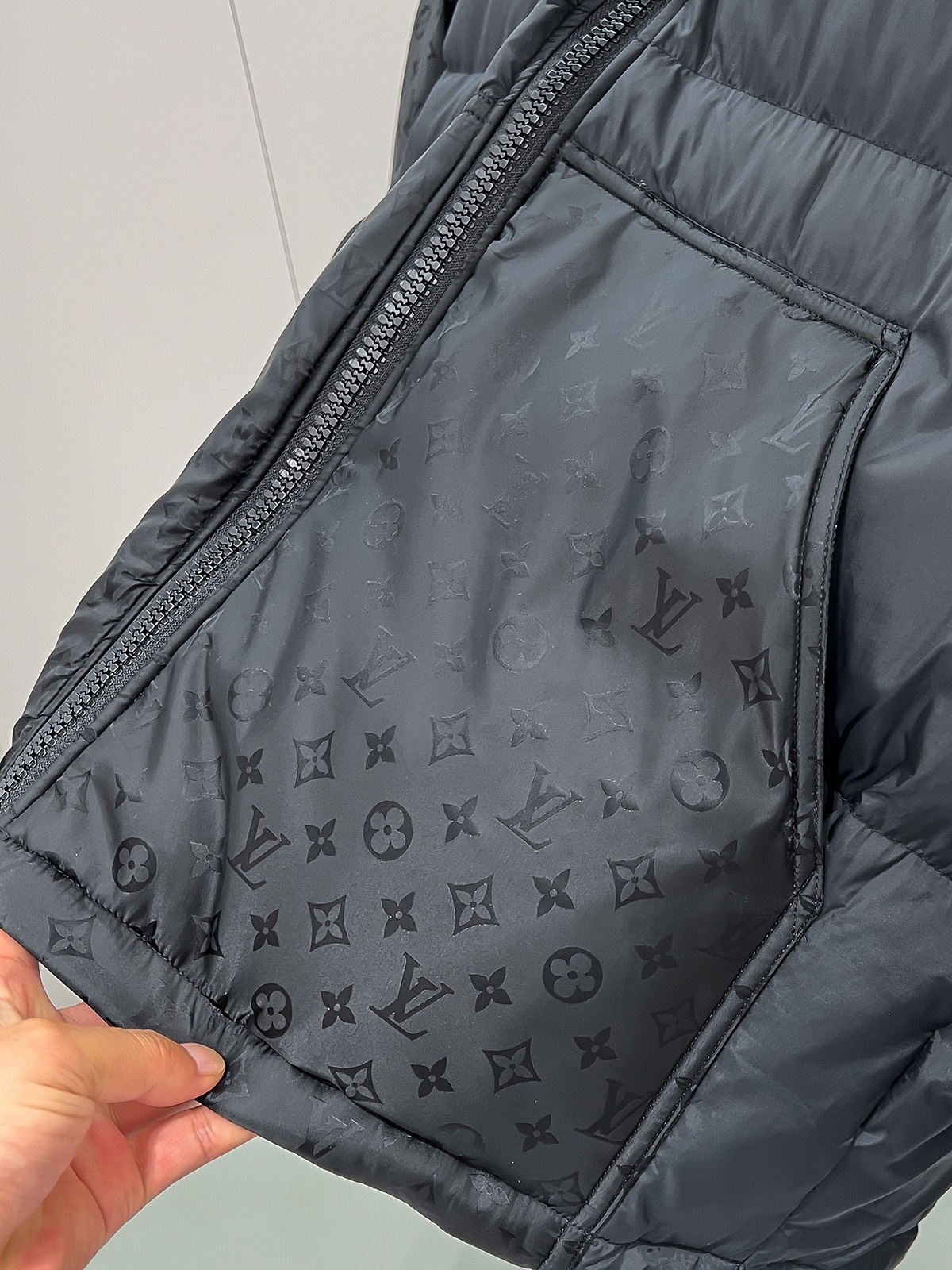 Louis Vuitton Down Jackets